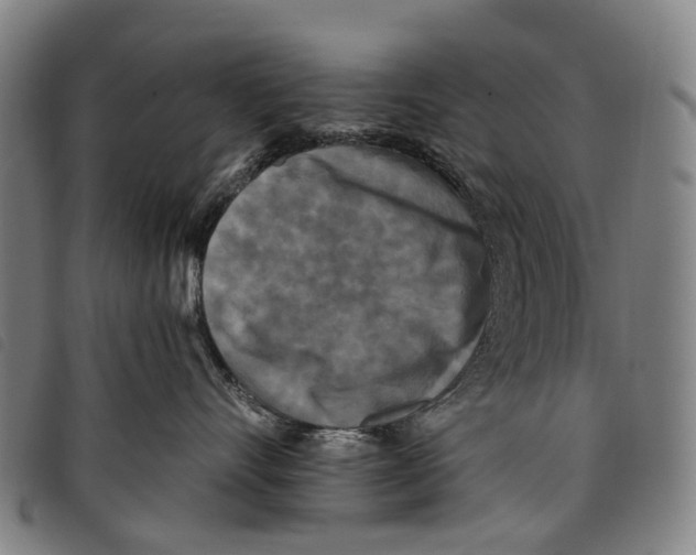 X0000097850528200804041509