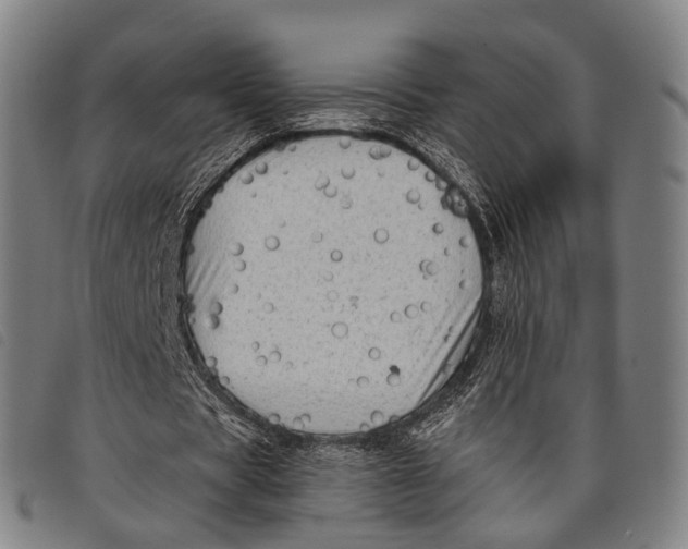 X0000097850529200804041508