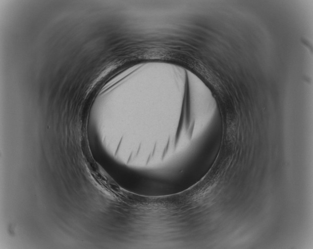 X0000097850530200804041508