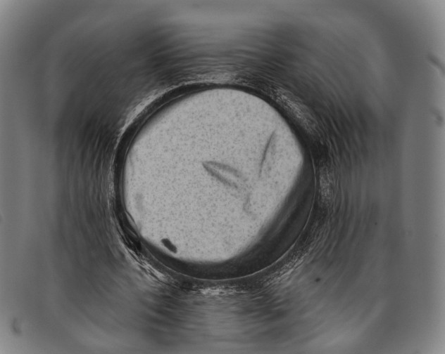 X0000097850532200804041508