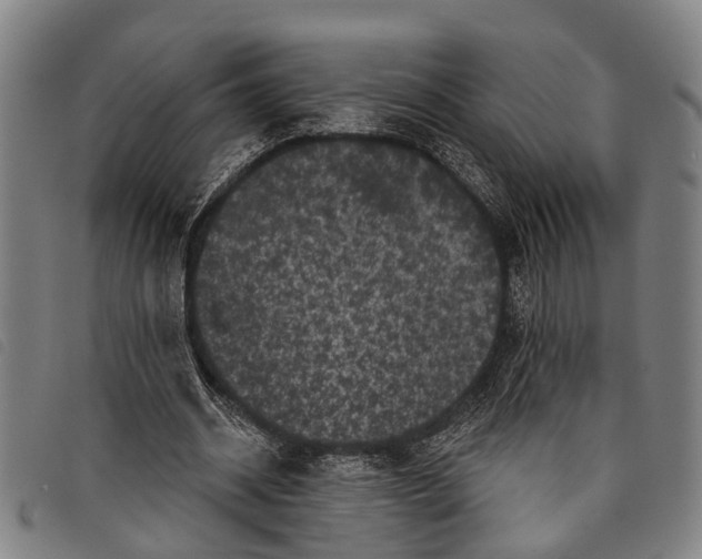 X0000097850534200804041508