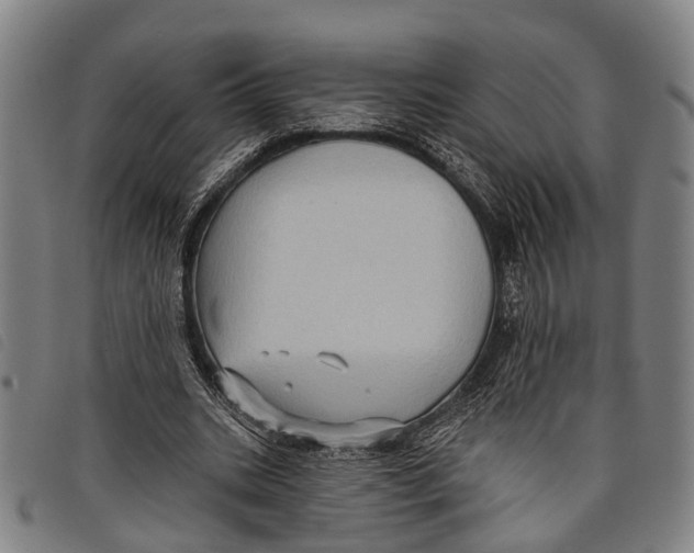 X0000097850535200804041508