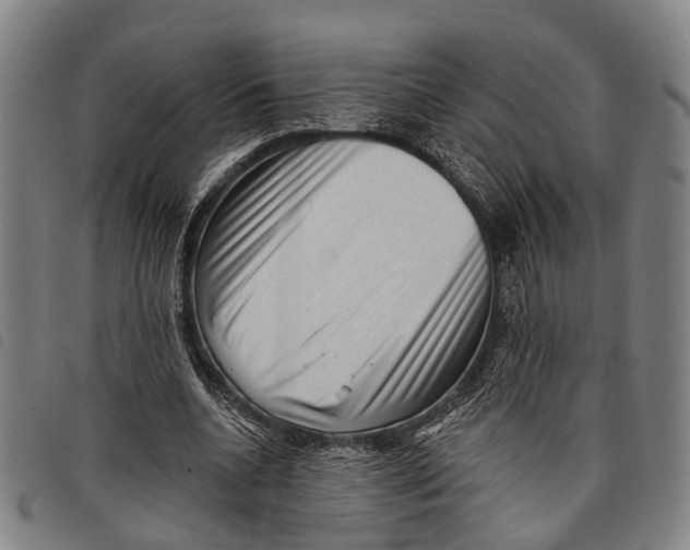 X0000097850536200804041508