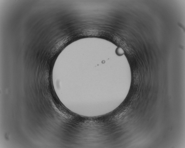 X0000097850538200804041508