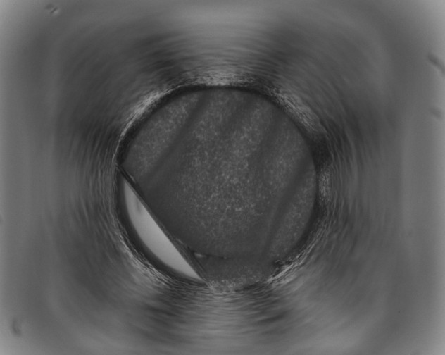 X0000097850540200804041508