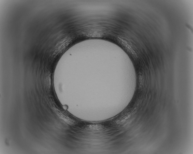 X0000097850541200804041508