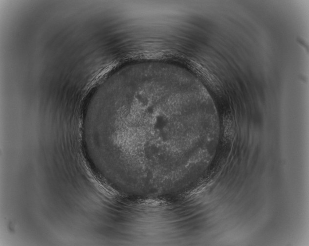 X0000097850542200804041508