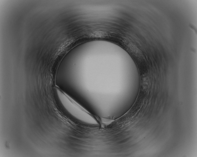 X0000097850544200804041508