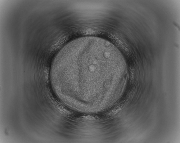 X0000097850545200804041508