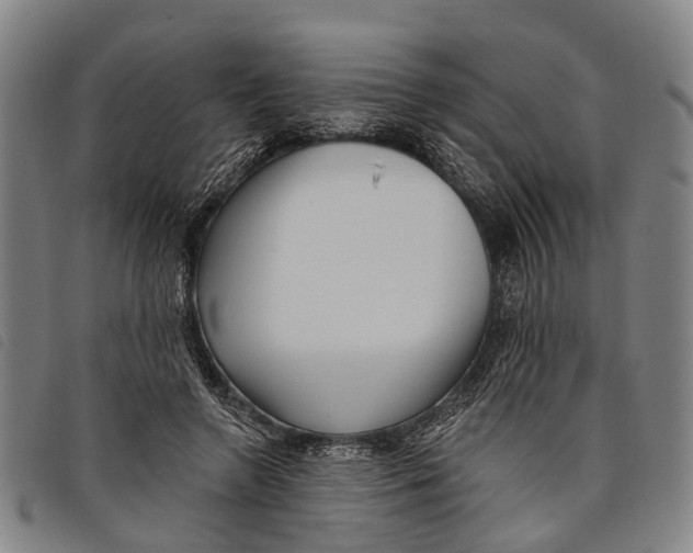 X0000097850546200804041508