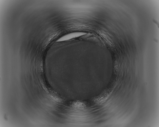 X0000097850547200804041508