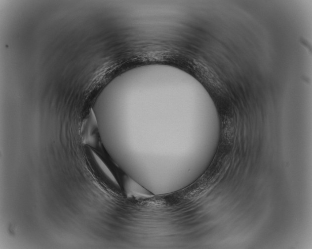 X0000097850548200804041508