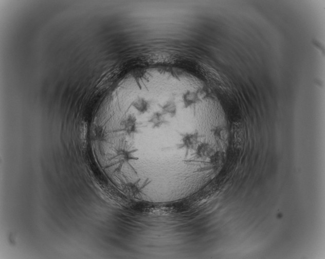 X0000097850550200804041509