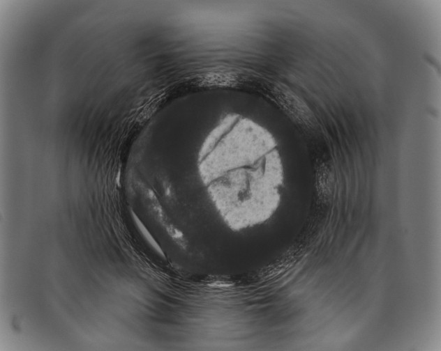 X0000097850551200804041509