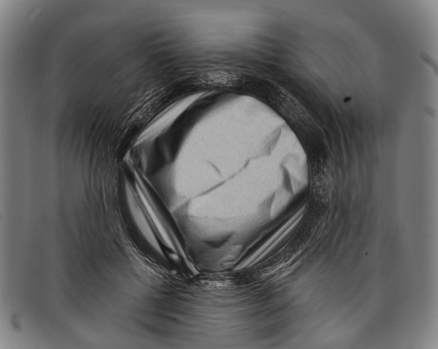 X0000097850552200804041509