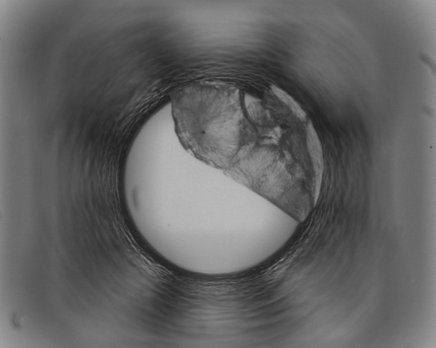 X0000097850553200804041509