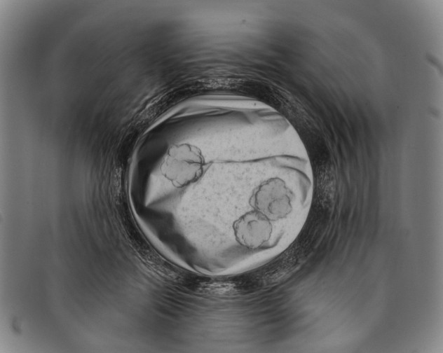 X0000097850554200804041509