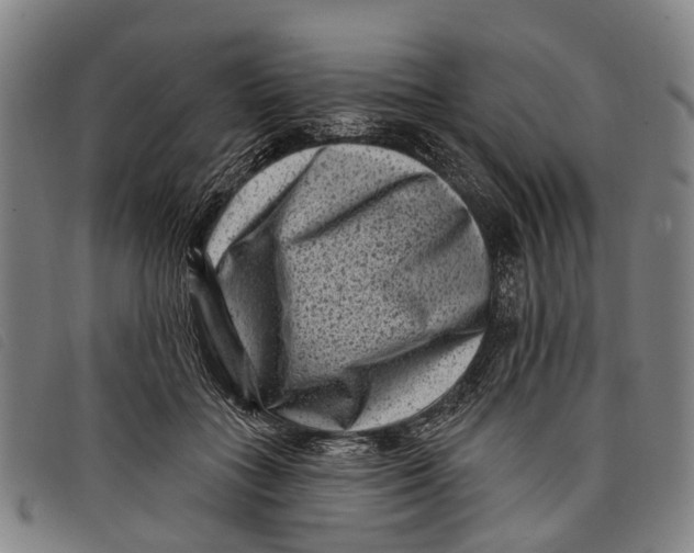 X0000097850555200804041509