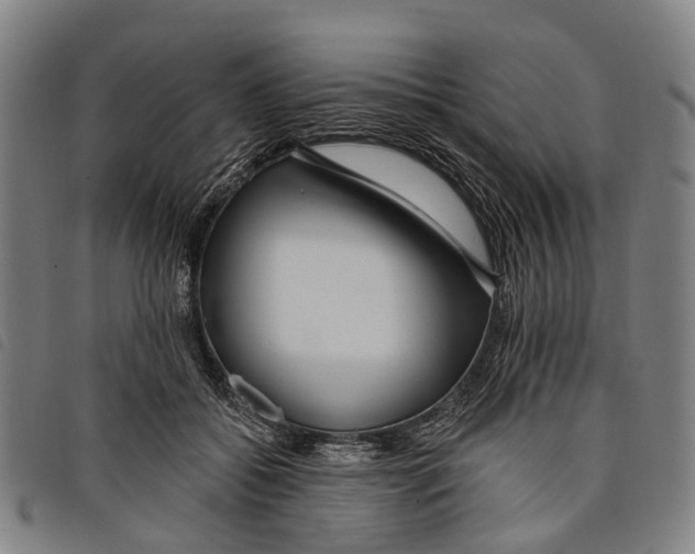 X0000097850556200804041509