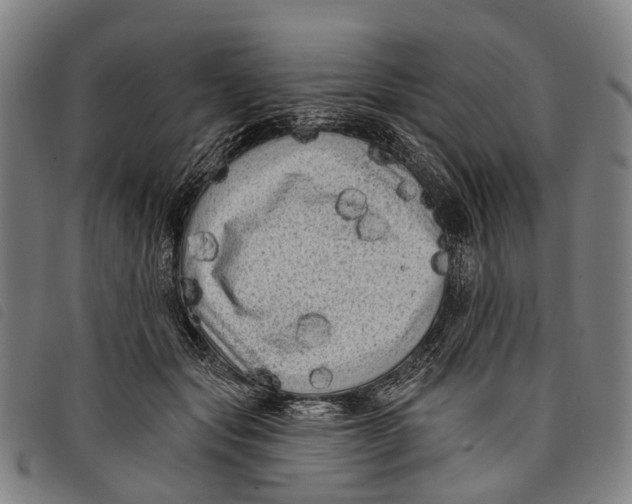 X0000097850557200804041509