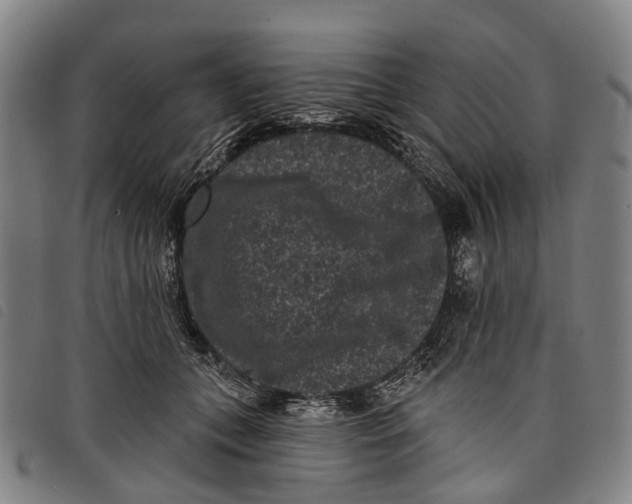 X0000097850559200804041509