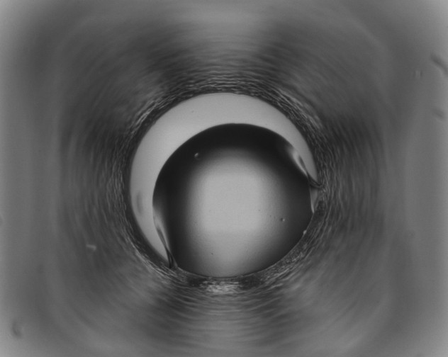 X0000097850560200804041509