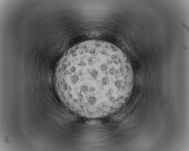 X0000097850561200804041509