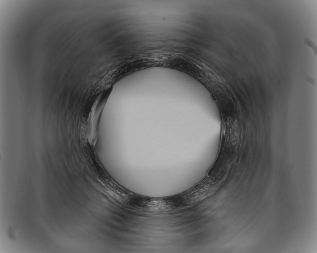 X0000097850562200804041509