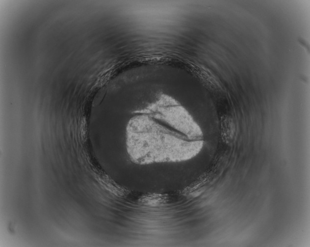 X0000097850563200804041509