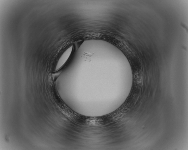 X0000097850564200804041509