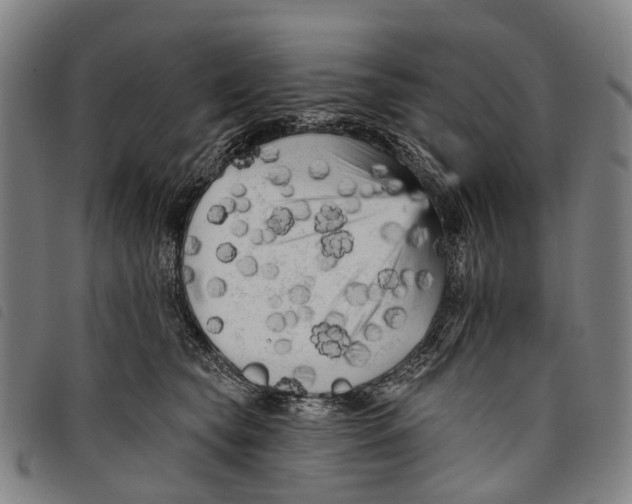 X0000097850565200804041509