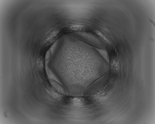 X0000097850566200804041509