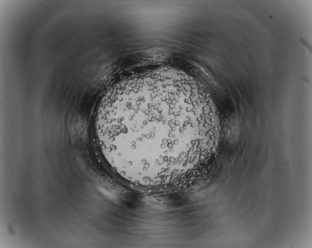 X0000097850568200804041509