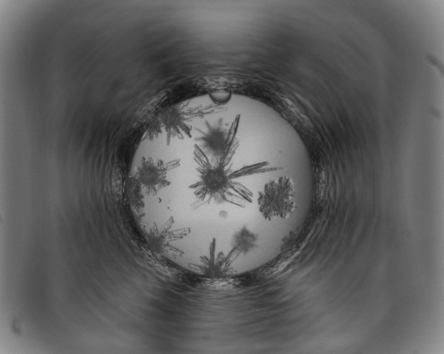 X0000097850569200804041509