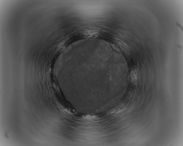 X0000097850570200804041509