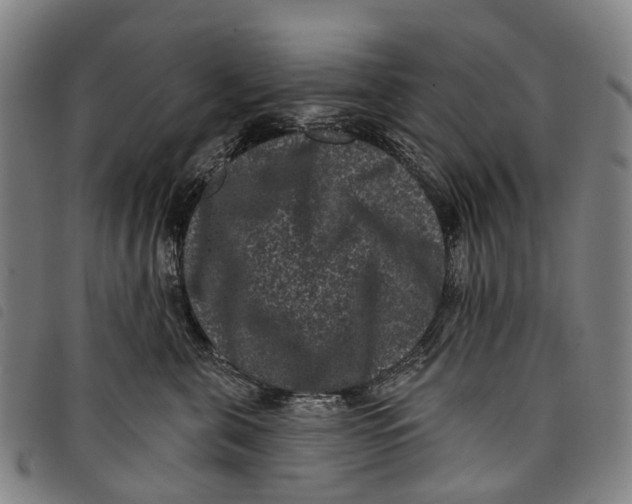 X0000097850571200804041509