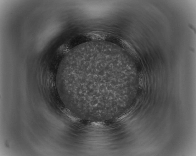 X0000097850573200804041509