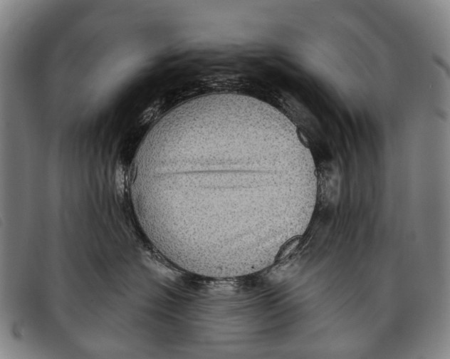 X0000097850574200804041509