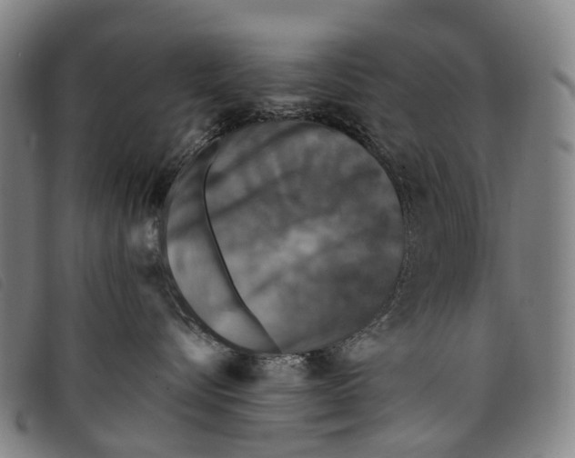 X0000097850576200804041509