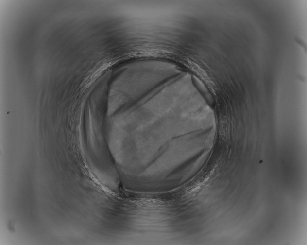 X0000097850577200804041508