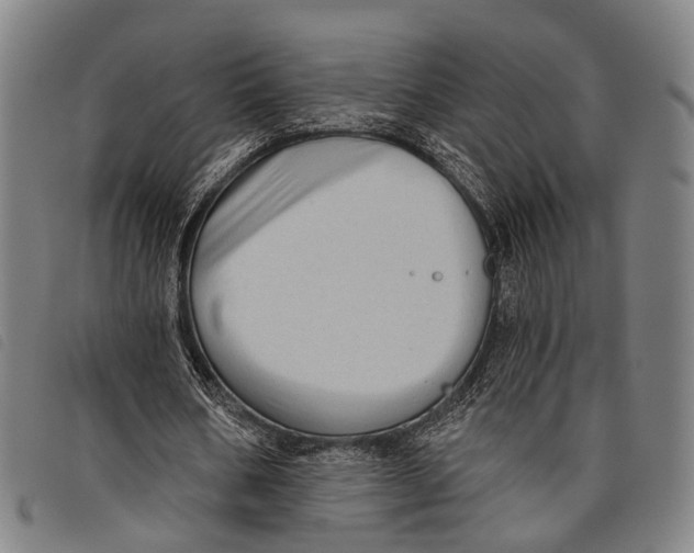 X0000097850578200804041508