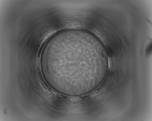 X0000097850579200804041508