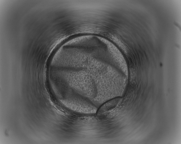 X0000097850580200804041508