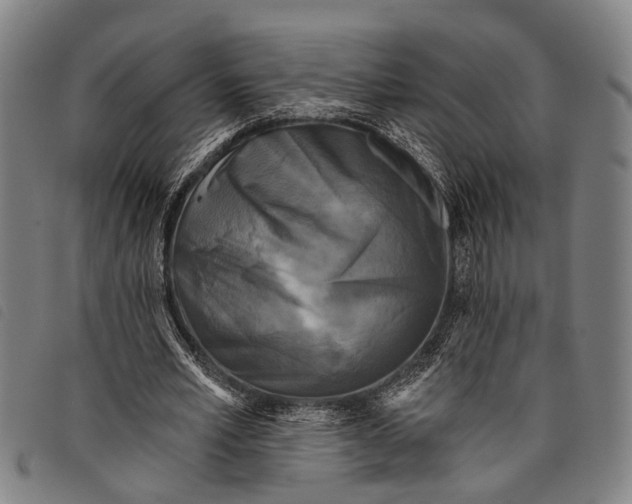 X0000097850581200804041508