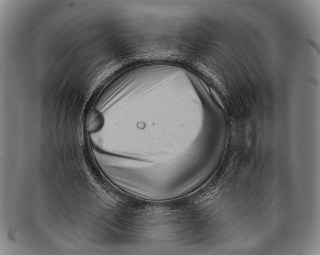 X0000097850582200804041508