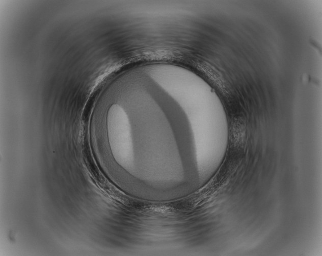 X0000097850583200804041508