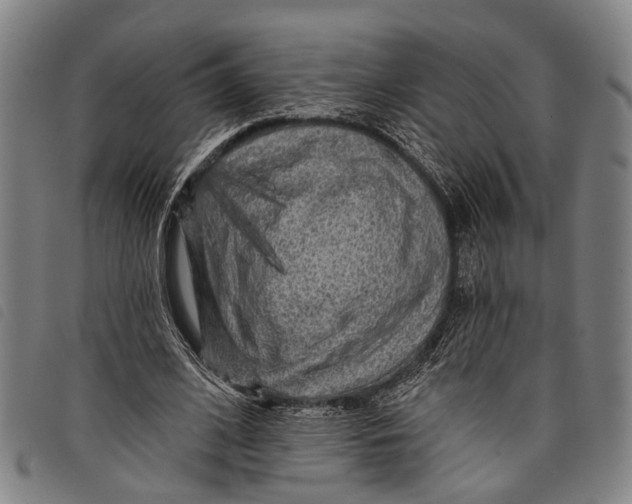 X0000097850584200804041508