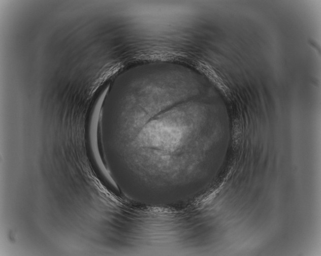 X0000097850585200804041508