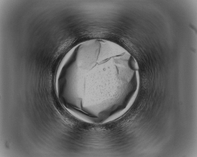 X0000097850586200804041508