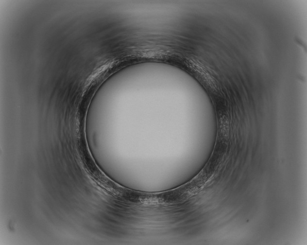 X0000097850587200804041508